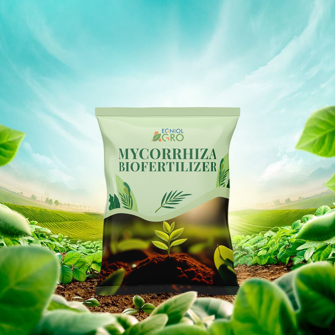 Mycorrhiza Biofertilizer