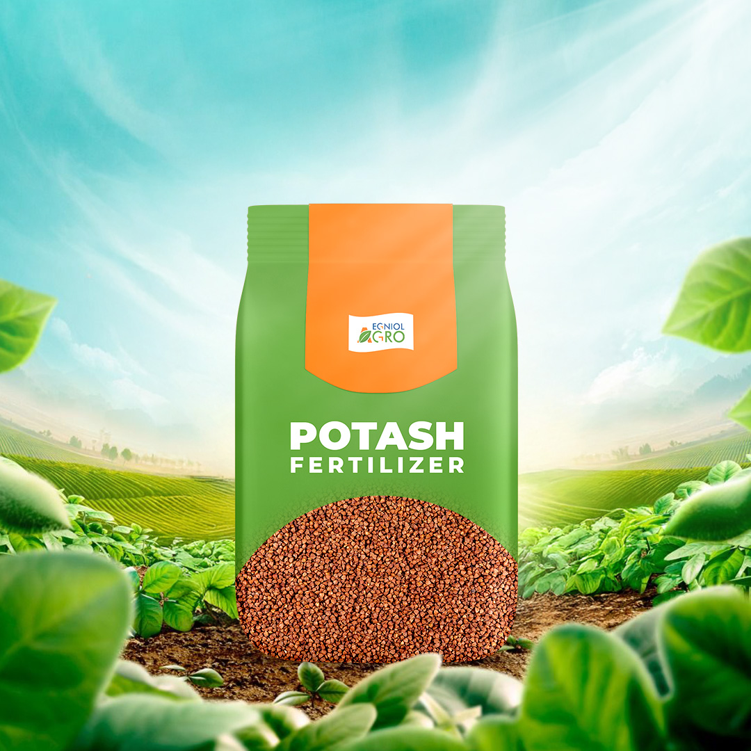 Potash Fertilizer