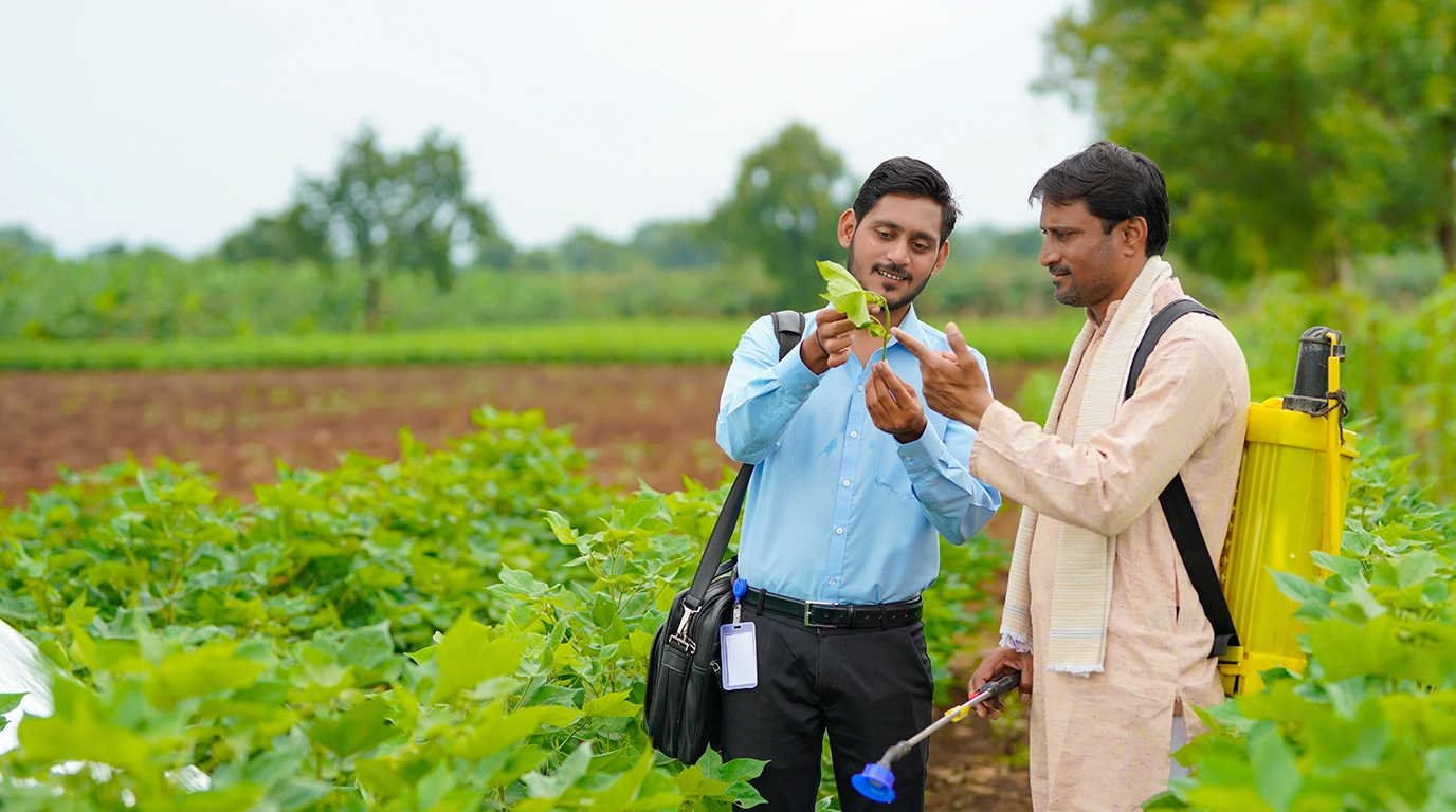 How to Protect Crops During Winter